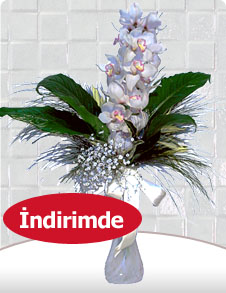 Vazoda Cympidium Orkide